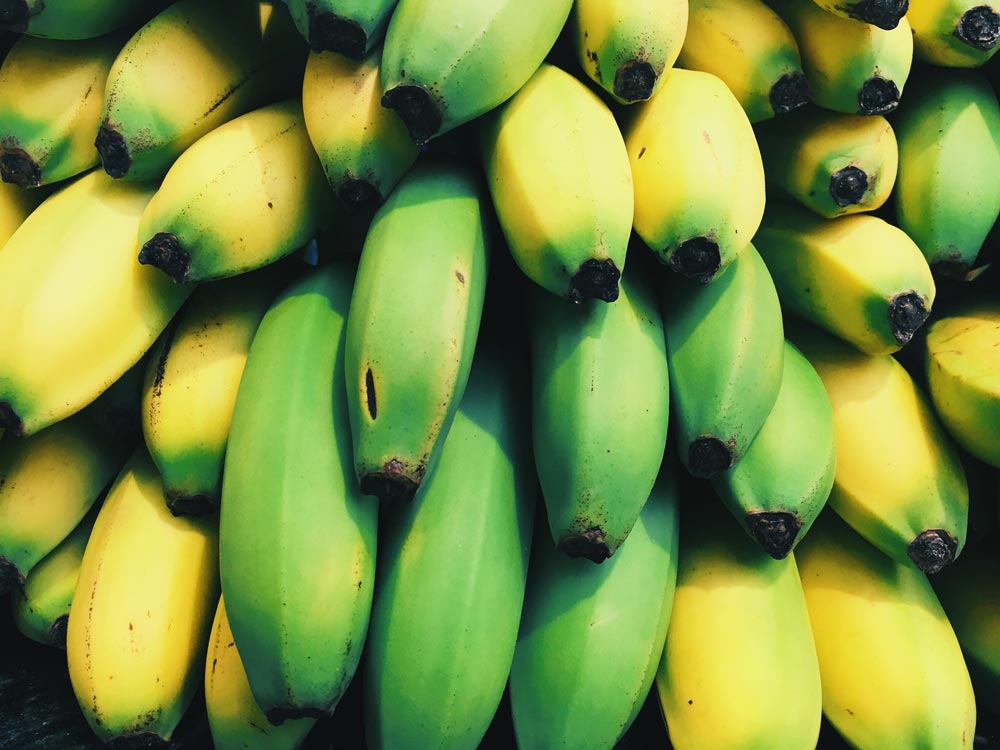 Top view of a big bunch of green and yellow bananas.